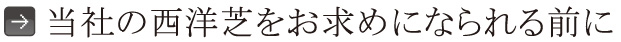 当社の西洋芝をお求めになられる前に